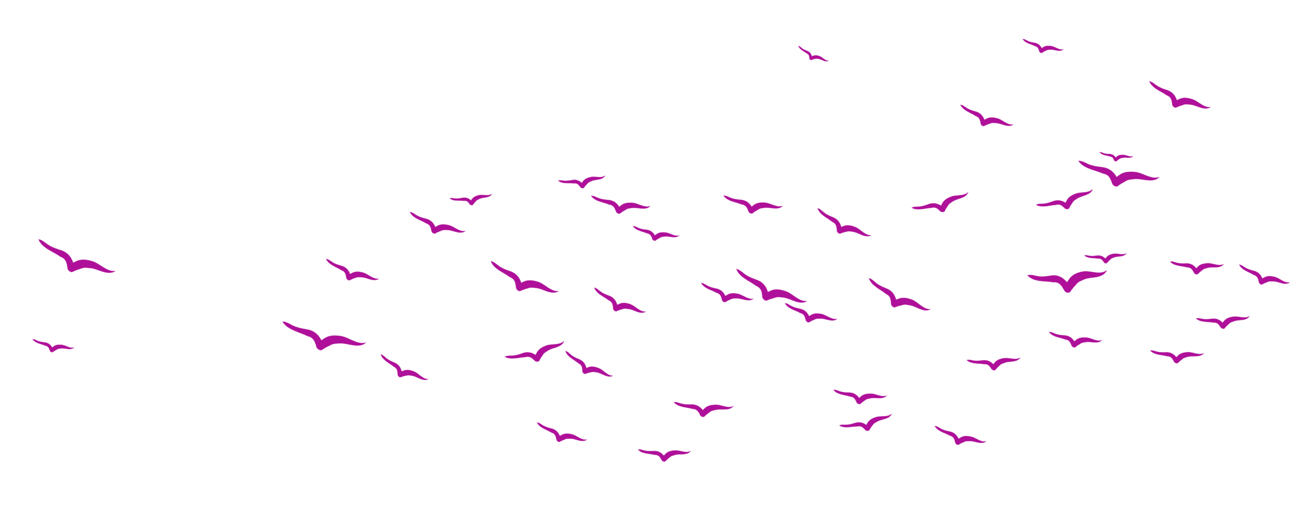 Harmonica pink birds 06 scaled