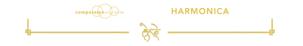 Sin titulo 1294 x 197 px 2