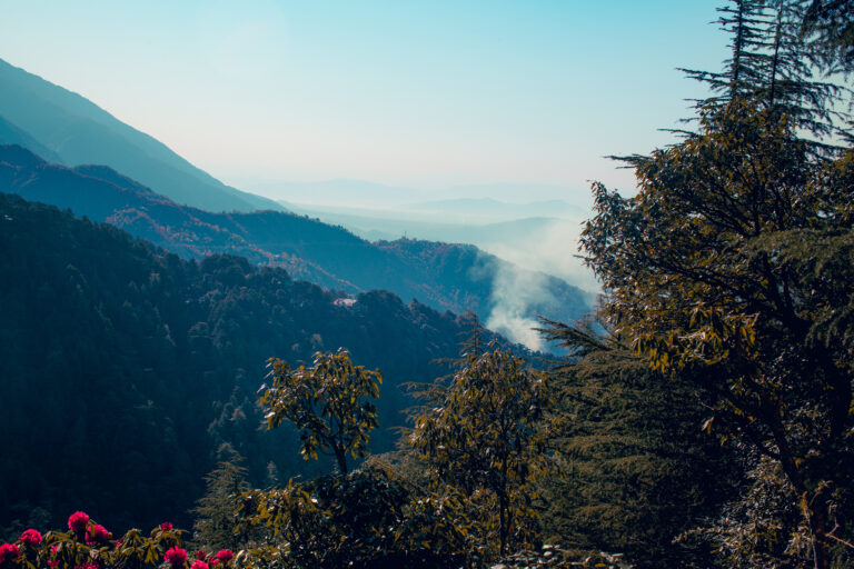 HHDL March India Selects 18