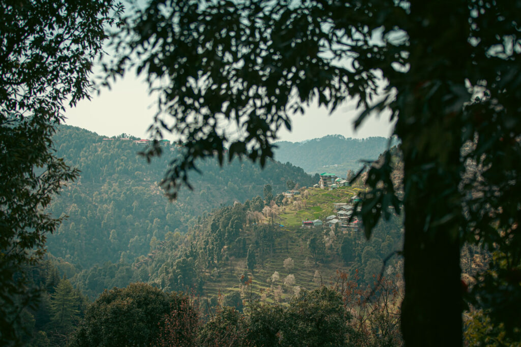 HHDL March India Selects 58